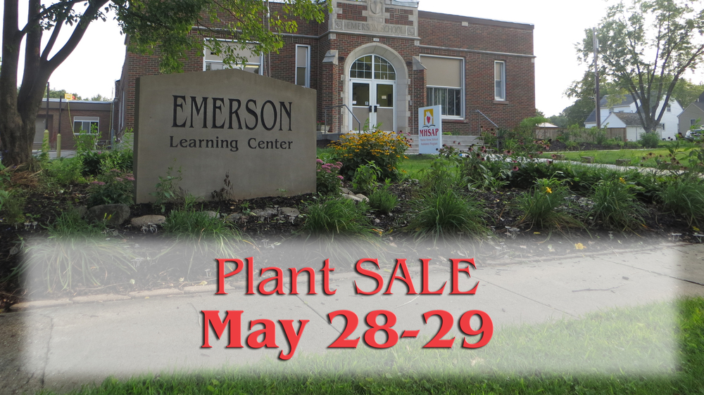 mhsap-plant-sale-marion-independent-school-district