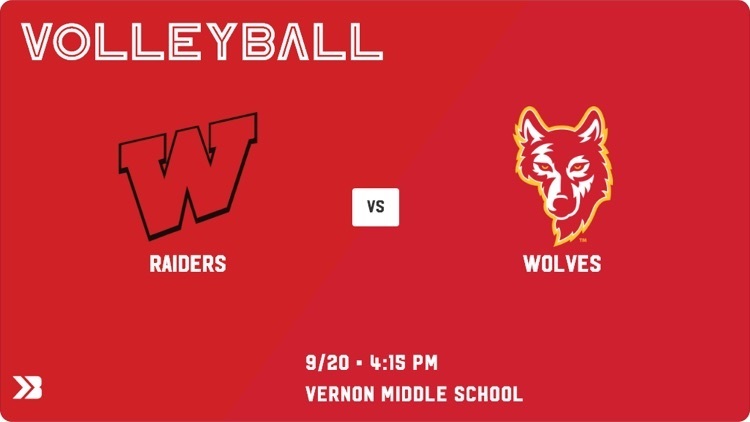 volleyball poster 