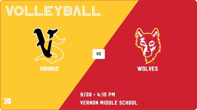 volleyball poster